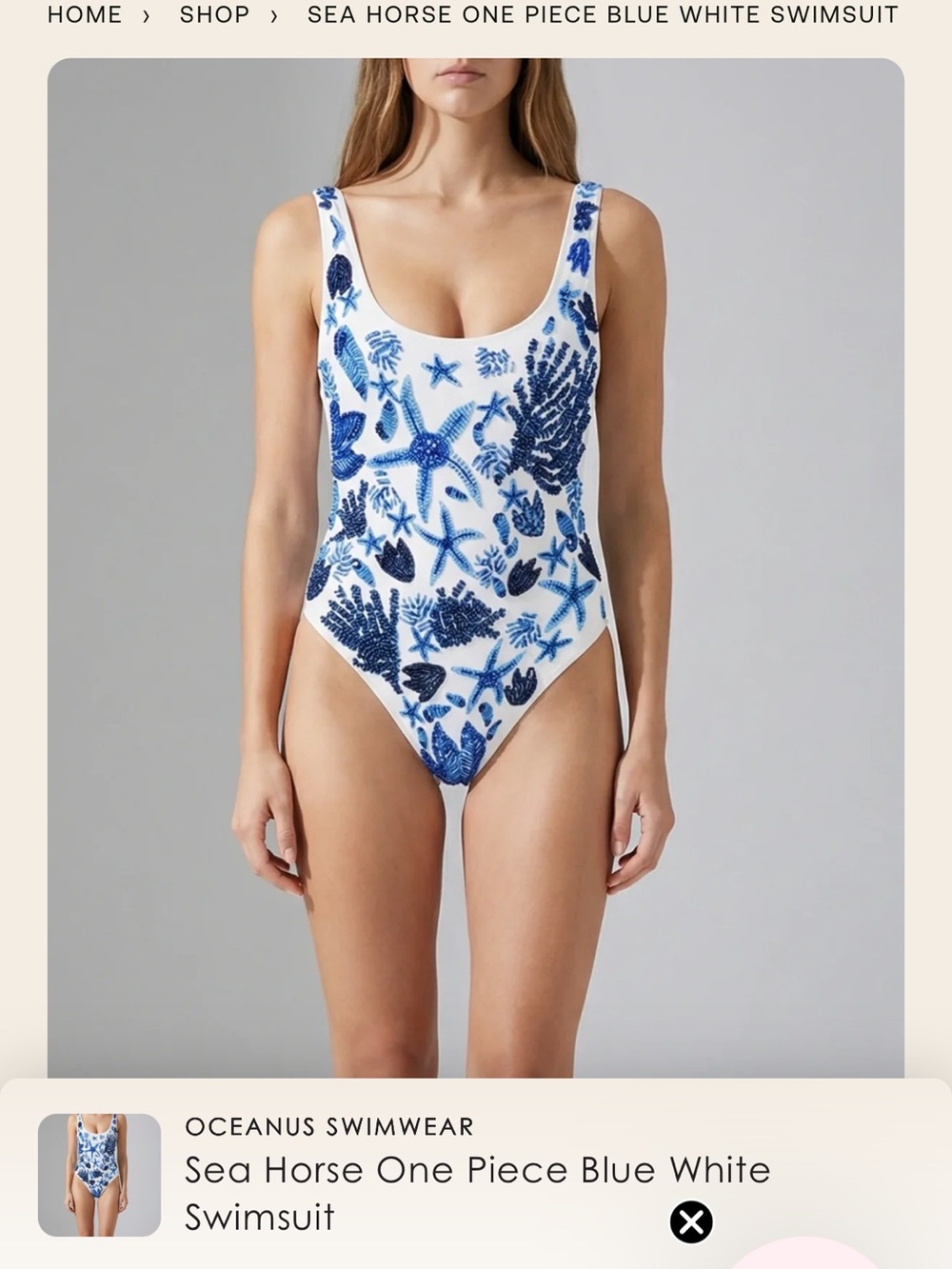 Oceanus Swimwear Sea Horse One-Piece Swimsuit - Blue & White